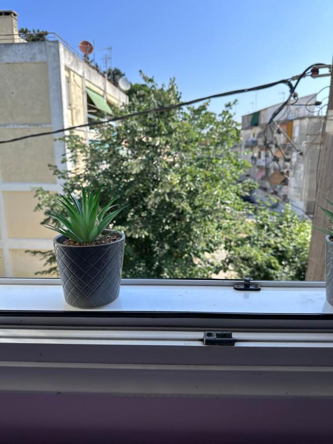 Apartment Olia *